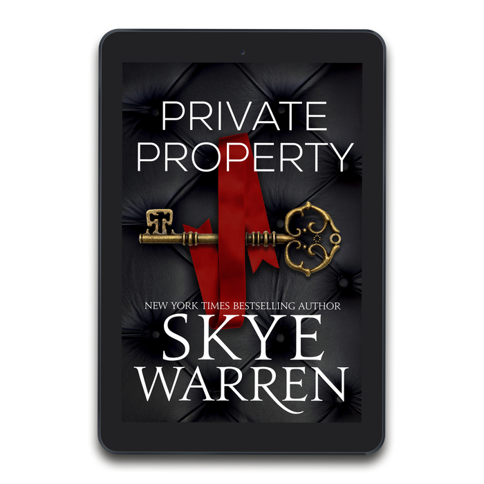 Private Property: A Broody Billionaire & Nanny, Single Dad, Age Gap Romance - E-Book Edition